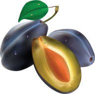 Plum PNG Free Download 13