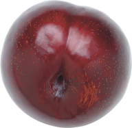 Plum PNG Free Download 14