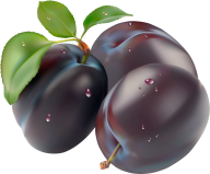 Plum PNG Free Download 15