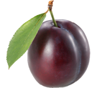 Plum PNG Free Download 16