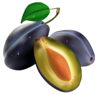 Plum PNG Free Download 17