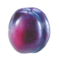 Plum PNG Free Download 18