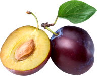 Plum PNG Free Download 19