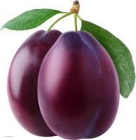 Plum PNG Free Download 2