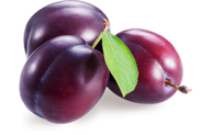 Plum PNG Free Download 20