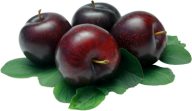Plum PNG Free Download 21
