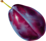 Plum PNG Free Download 22