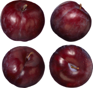 Plum PNG Free Download 24