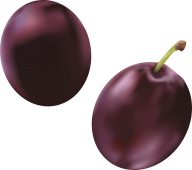 Plum PNG Free Download 25