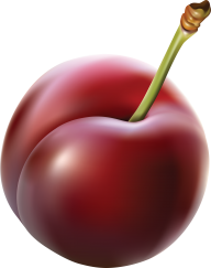 Plum PNG Free Download 6