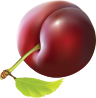 Plum PNG Free Download 7