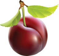 Plum PNG Free Download 8