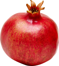 Pomegranate PNG Free Download 10