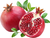 Pomegranate PNG Free Download 11