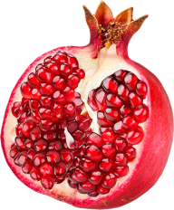 Pomegranate PNG Free Download 16