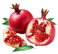Pomegranate PNG Free Download 5