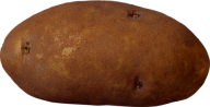 Potato PNG Free Download 1