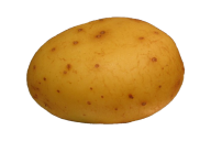 Potato PNG Free Download 12