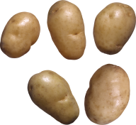 Potato PNG Free Download 14