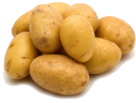 Potato PNG Free Download 15