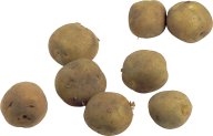 Potato PNG Free Download 2
