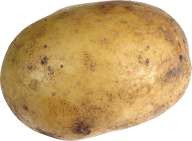 Potato PNG Free Download 20