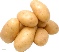 Potato PNG Free Download 23