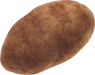 Potato PNG Free Download 26