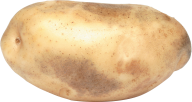 Potato PNG Free Download 27