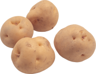 Potato PNG Free Download 33