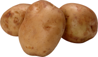 Potato PNG Free Download 36