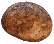 Potato PNG Free Download 8
