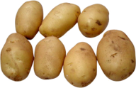 Potato PNG Free Download 9
