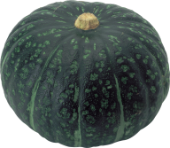 Pumpkin PNG Free Download 10