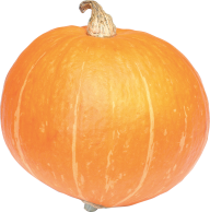 Pumpkin PNG Free Download 11