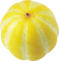 Pumpkin PNG Free Download 12
