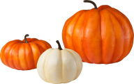 Pumpkin PNG Free Download 14