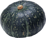 Pumpkin PNG Free Download 3
