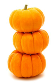 Pumpkin PNG Free Download 30