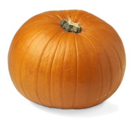 Pumpkin PNG Free Download 32