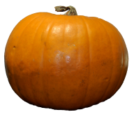 Pumpkin PNG Free Download 33