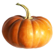 Pumpkin PNG Free Download 34