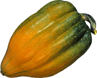 Pumpkin PNG Free Download 37