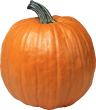 Pumpkin PNG Free Download 4