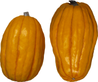 Pumpkin PNG Free Download 40