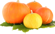 Pumpkin PNG Free Download 46