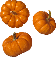 Pumpkin PNG Free Download 5