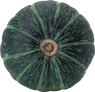 Pumpkin PNG Free Download 8
