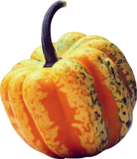 Pumpkin PNG Free Download 9