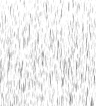 Rain PNG Free Download 8